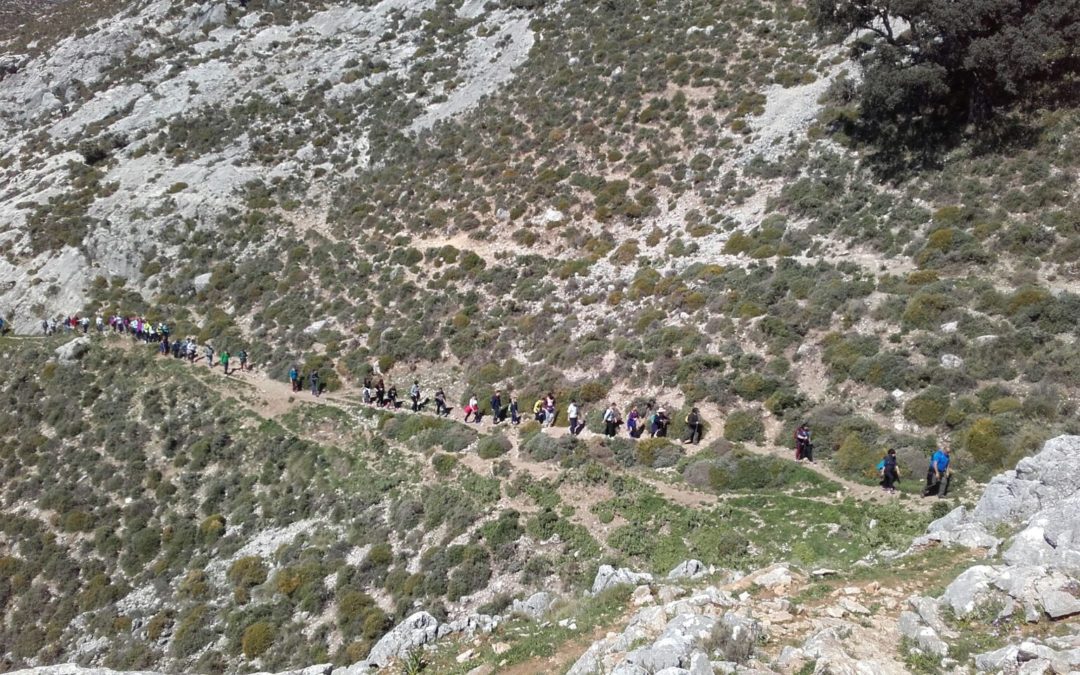 RUTA DE SENDERISMO POR EL PUERTO DEL CEREZO