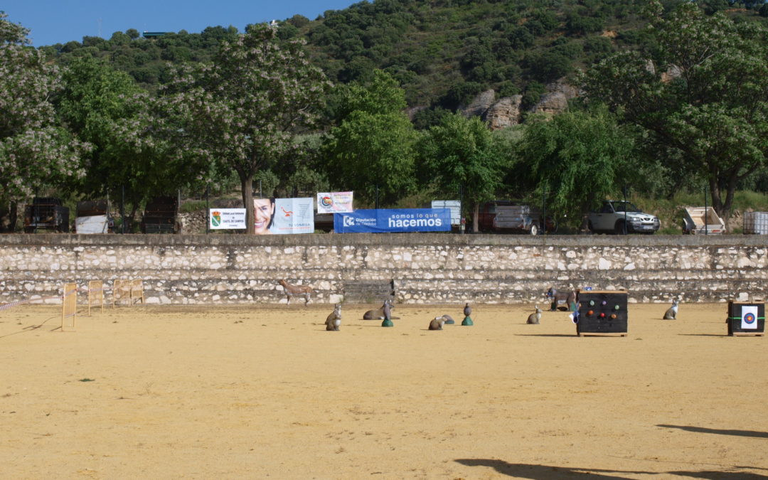 1ª JORNADA DE PROMOCION ELIGE TU DEPORTE «CAMINO A RIO»