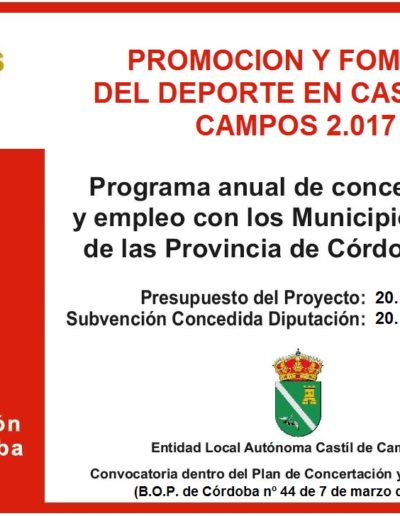 Subvenciones otorgadas a la E.L.A. de Castil de Campos 2.017 6